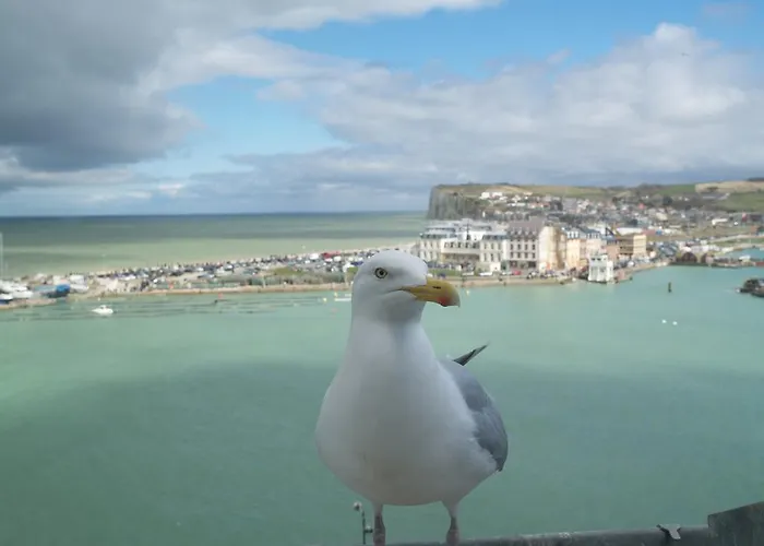 De Calais Ле-Трепор